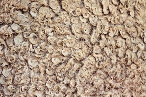 GraphicRiver Natural camel wool 4903457 GraphicRiver Natural camel wool 4903457