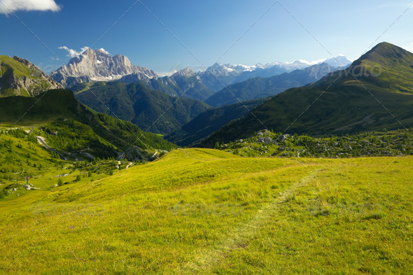 Green alpine field in the Dolomites