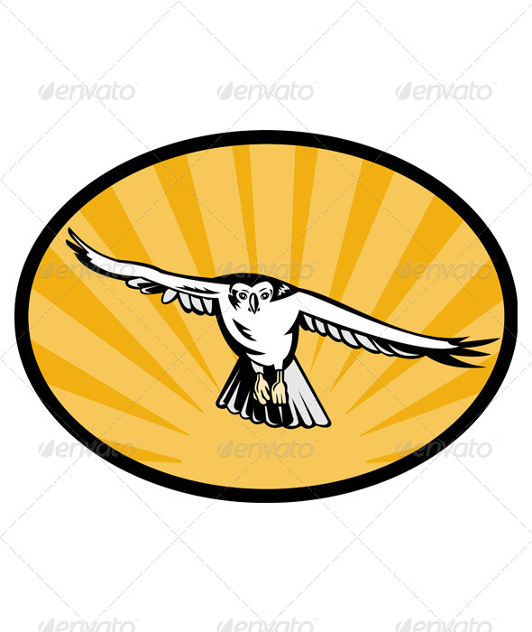 GraphicRiver Goshawk Flying Retro 4947805 GraphicRiver Goshawk Flying Retro 4947805