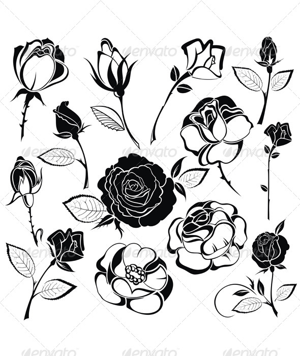 GraphicRiver Rose 4956593 GraphicRiver Rose 4956593