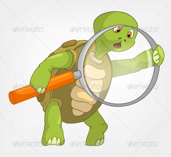 GraphicRiver Turtle Finding 4968619 GraphicRiver Turtle Finding 4968619