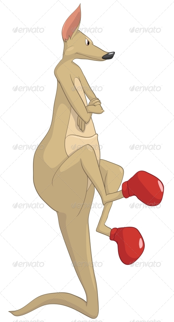 GraphicRiver Cartoon Character Kangaroo 4969353 GraphicRiver Cartoon Character Kangaroo 4969353