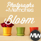 Photographs and Memories Bloom Photographs and Memories Bloom - VideoHive Item for Sale