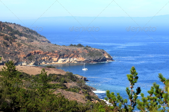 Bay Sailboat - Stock Photo - Images