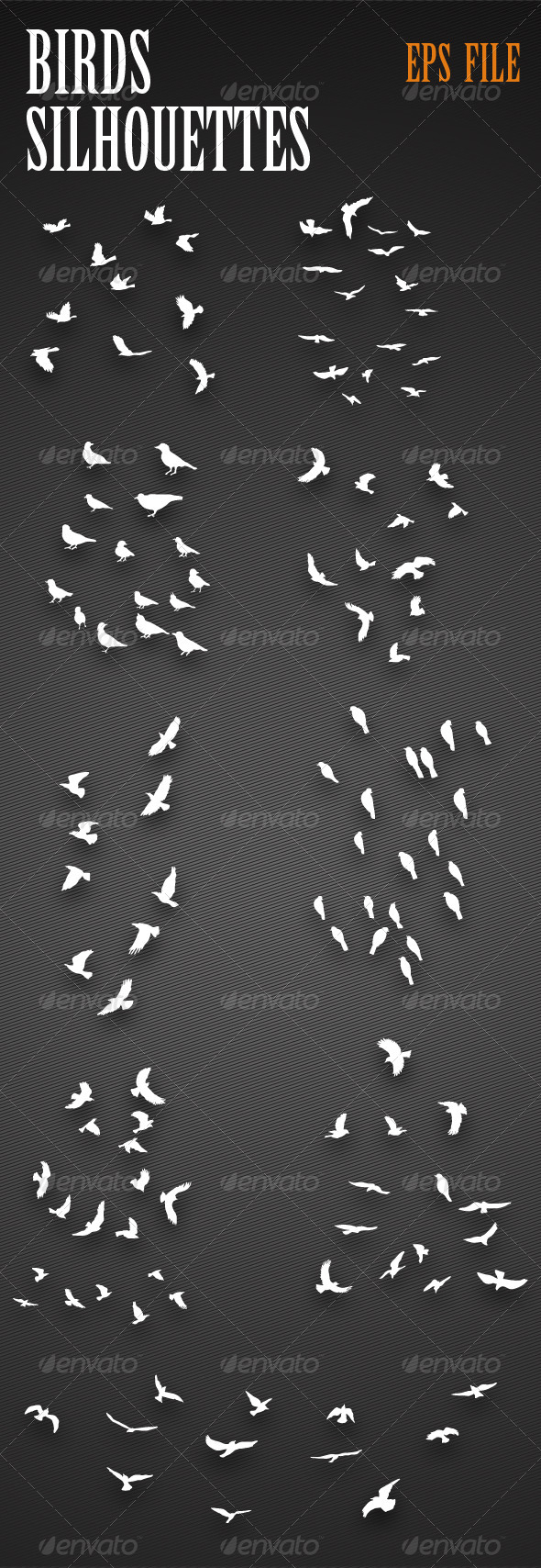 GraphicRiver Birds Silhouettes 4976451 GraphicRiver Birds Silhouettes 4976451