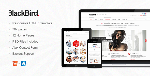 BlackBird - Responsive HTML5 Template - Business Corporate