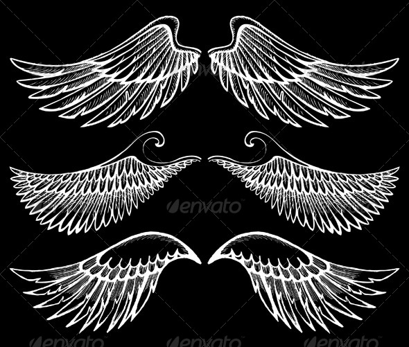 GraphicRiver Wings Set 5007981 GraphicRiver Wings Set 5007981