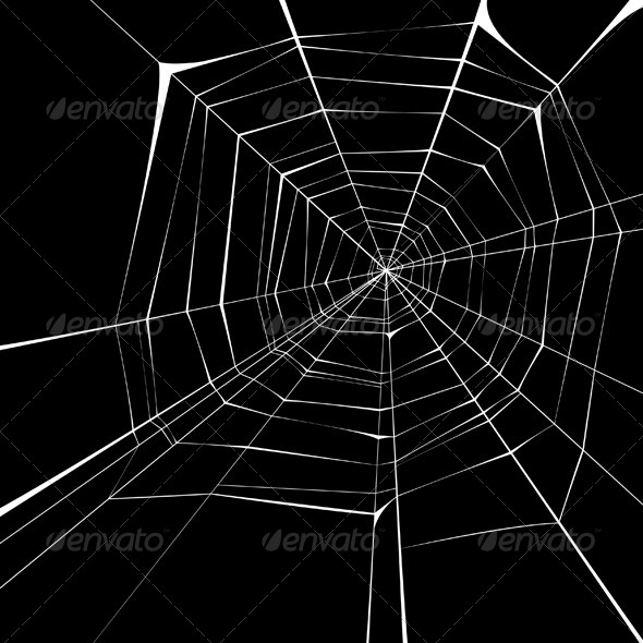 GraphicRiver Spider Web 5016183 GraphicRiver Spider Web 5016183