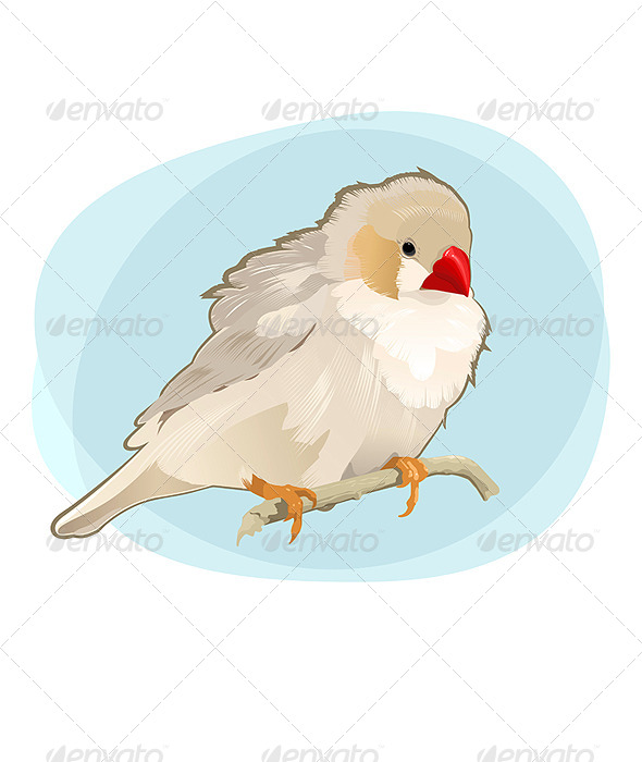 GraphicRiver Bird on Branch 5018379 GraphicRiver Bird on Branch 5018379