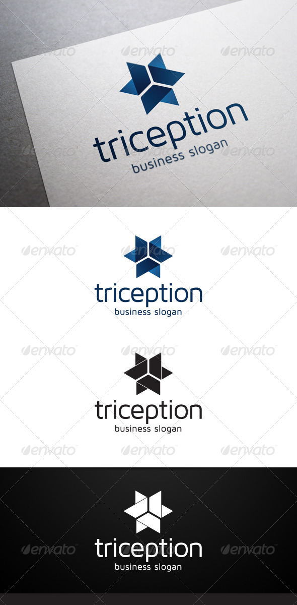 GraphicRiver Triception Logo 5046495 GraphicRiver Triception Logo 5046495