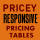 Pricey - Responsive CSS3 Pricing Tables - CodeCanyon Item for Sale