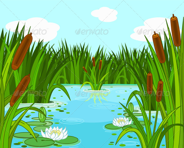 GraphicRiver Pond Scene 5053077 GraphicRiver Pond Scene 5053077