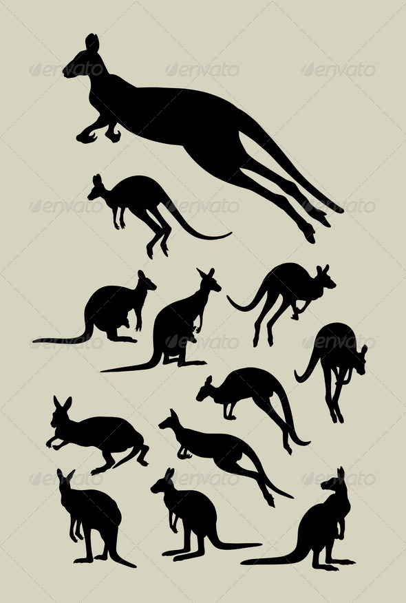 Kangaroo Silhouettes - Animals Characters