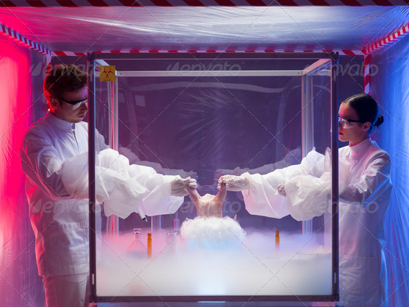 experimenting on raw meat in sterile chamber - Stock Photo - Images