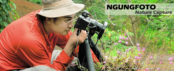 ngungfoto