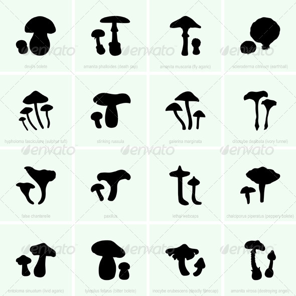 GraphicRiver Inedible and Poisonous Mushrooms 5174836 GraphicRiver Inedible and Poisonous Mushrooms 5174836