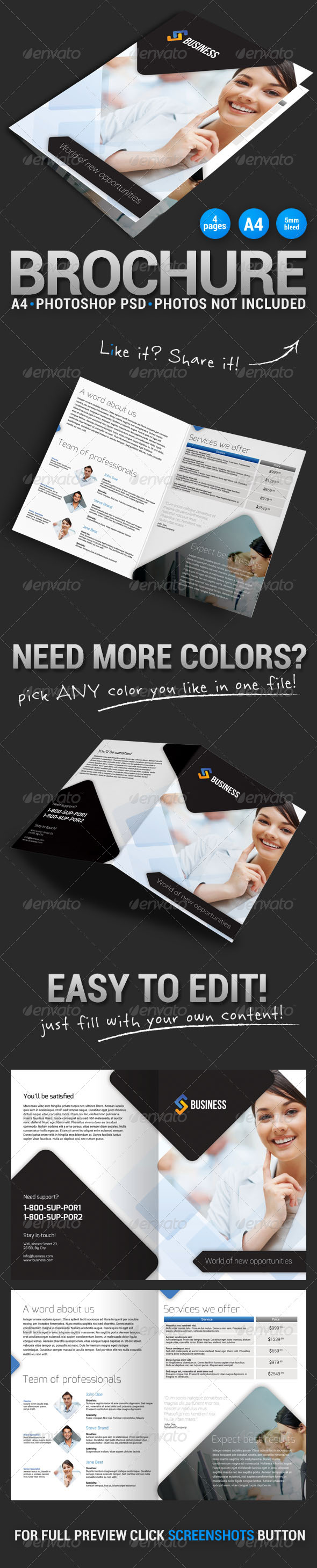 GraphicRiver Bi-fold Brochure 1 5178877 GraphicRiver Bi-fold Brochure 1 5178877