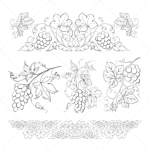 GraphicRiver Hand Drawn Grape Set 5190322 GraphicRiver Hand Drawn Grape Set 5190322
