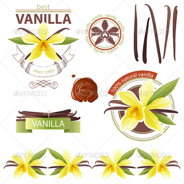 GraphicRiver Vanilla 5278196 GraphicRiver Vanilla 5278196