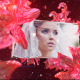 Wedding Fairy