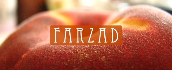 farzadbayan