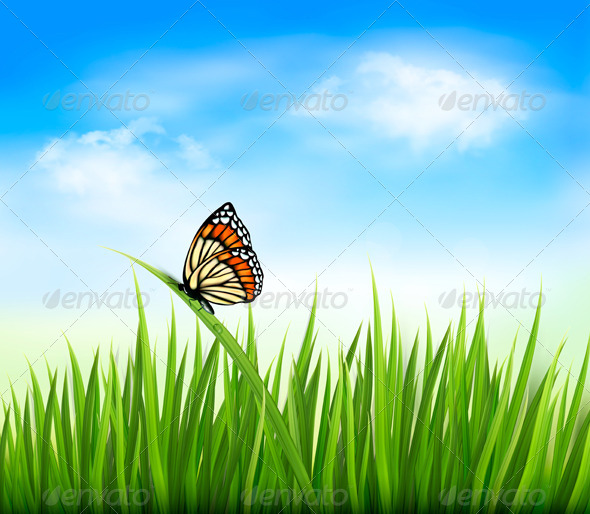 GraphicRiver Nature Background with Green Grass and a Butterfly 5296259 GraphicRiver Nature Background with Green Grass and a Butterfly 5296259