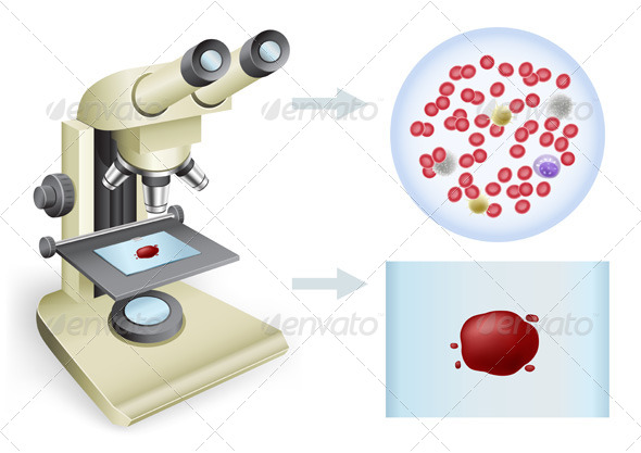 GraphicRiver Blood under a Microscope 5301934 GraphicRiver Blood under a Microscope 5301934