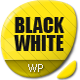 Black&amp;White - Responsive Photo Portfolio - ThemeForest Item for Sale