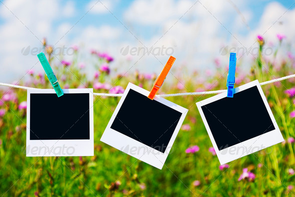 Royalty Free Stock Photography : Instant Photos on the Meadow Photodune 548545 Royalty Free Stock Photography : Instant Photos on the Meadow Photodune 548545