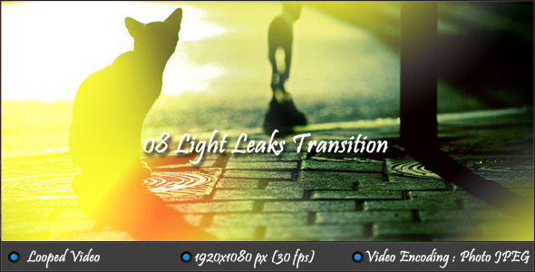 Videohive Light Leaks Transition (Motion Grafics)眩光转场素材 