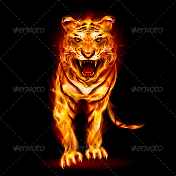 GraphicRiver Fire Tiger 5329080 GraphicRiver Fire Tiger 5329080