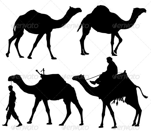 GraphicRiver Camel Silhouette 5372098 GraphicRiver Camel Silhouette 5372098