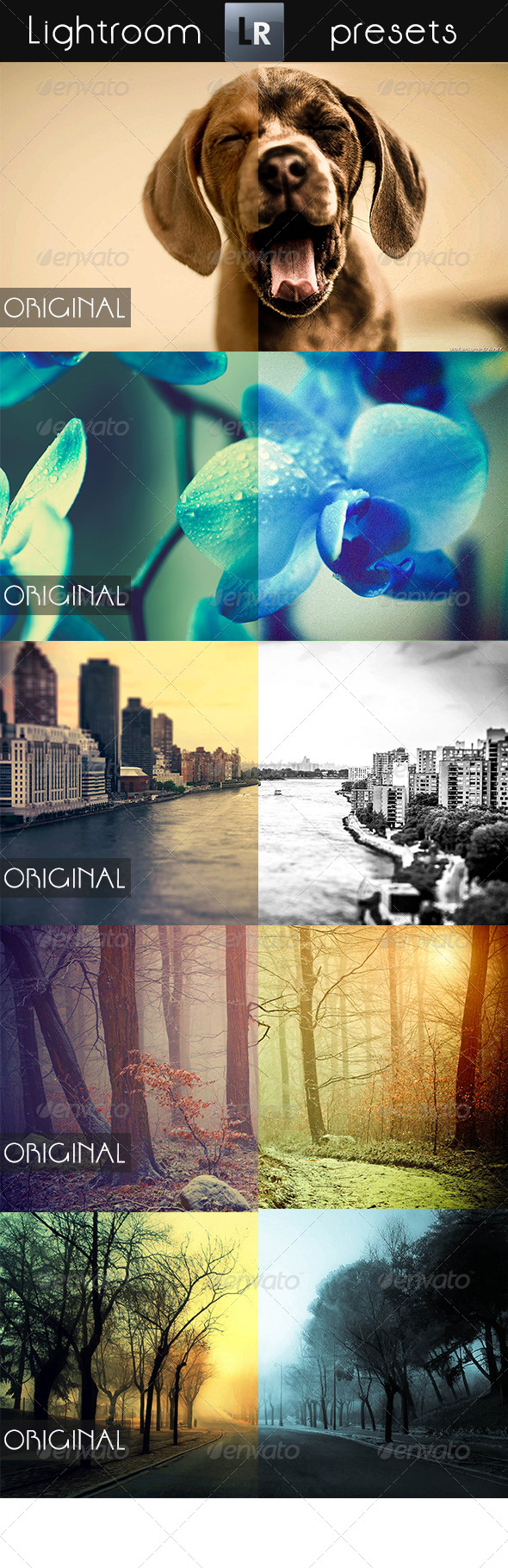 GraphicRiver 8 Mixed Pro Presets 5410707 GraphicRiver 8 Mixed Pro Presets 5410707