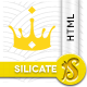 Silicate - Responsive Minimalist Coming Soon HTML - ThemeForest Item for Sale