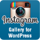 Instagram Photo &amp; Video Gallery WordPress - CodeCanyon Item for Sale