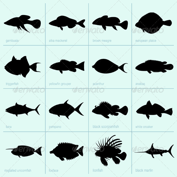 GraphicRiver Sea Fishes 5417780 GraphicRiver Sea Fishes 5417780