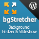 bgStretcher WordPress Bg Image Resizer &amp; Slideshow - CodeCanyon Item for Sale
