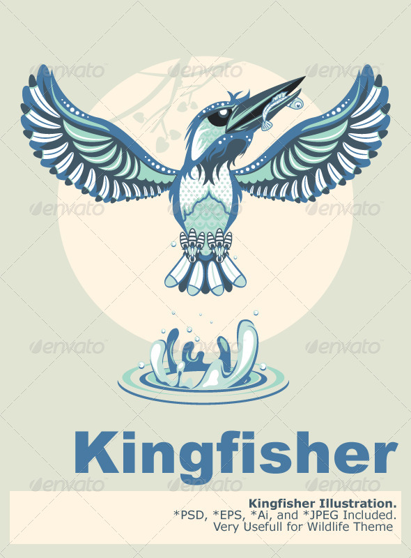 GraphicRiver Kingfisher 5458449 GraphicRiver Kingfisher 5458449