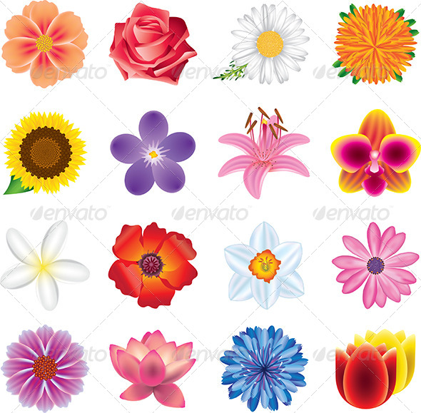 GraphicRiver Flowers Photo Realistic Vector Set 5453996 GraphicRiver Flowers Photo Realistic Vector Set 5453996