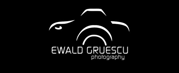 ewald1991