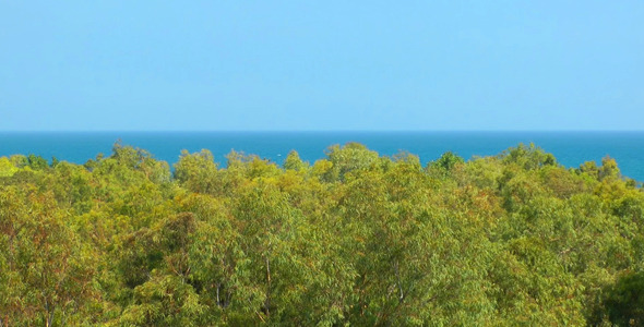 VideoHive Forest and the Sea 5475614 VideoHive Forest and the Sea 5475614