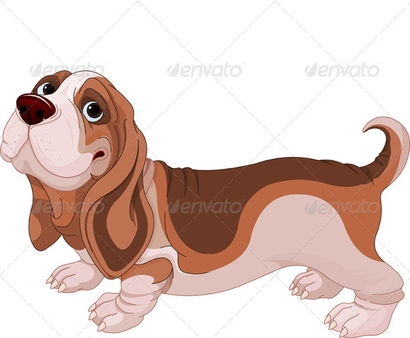 GraphicRiver Basset Hound 5478375 GraphicRiver Basset Hound 5478375