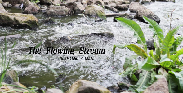 VideoHive The Flowing Stream 4 5491900 VideoHive The Flowing Stream 4 5491900
