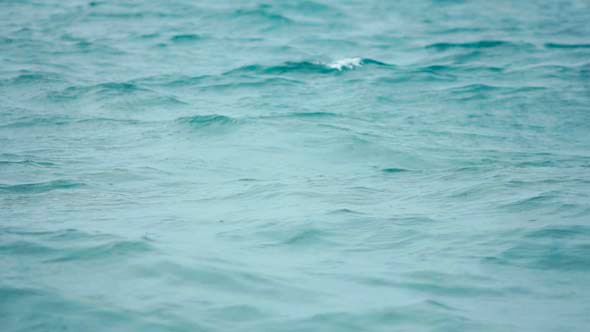 VideoHive Storm on Sea 5 5499532 VideoHive Storm on Sea 5 5499532
