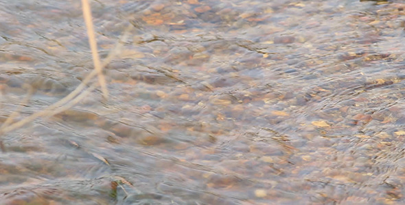 VideoHive Stream Tilting Shot 5525899 VideoHive Stream Tilting Shot 5525899