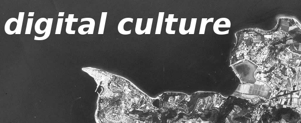 DigitalCulture