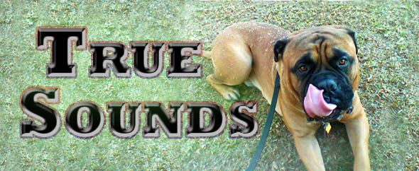 TrueSounds