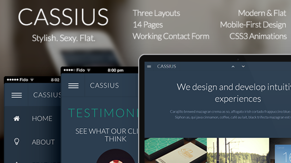 ThemeForest Cassius Modern & Flat Multi-Purpose Template 5566091 ThemeForest Cassius Modern & Flat Multi-Purpose Template 5566091