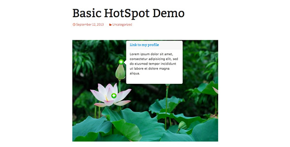 CodeCanyon Image Map HotSpot for WordPress 5586825 CodeCanyon Image Map HotSpot for WordPress 5586825
