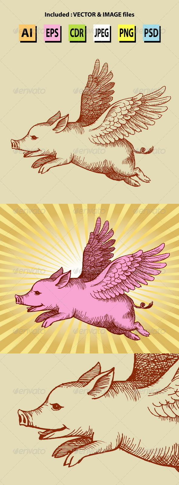 Angel Pig Illustration - Animals Characters